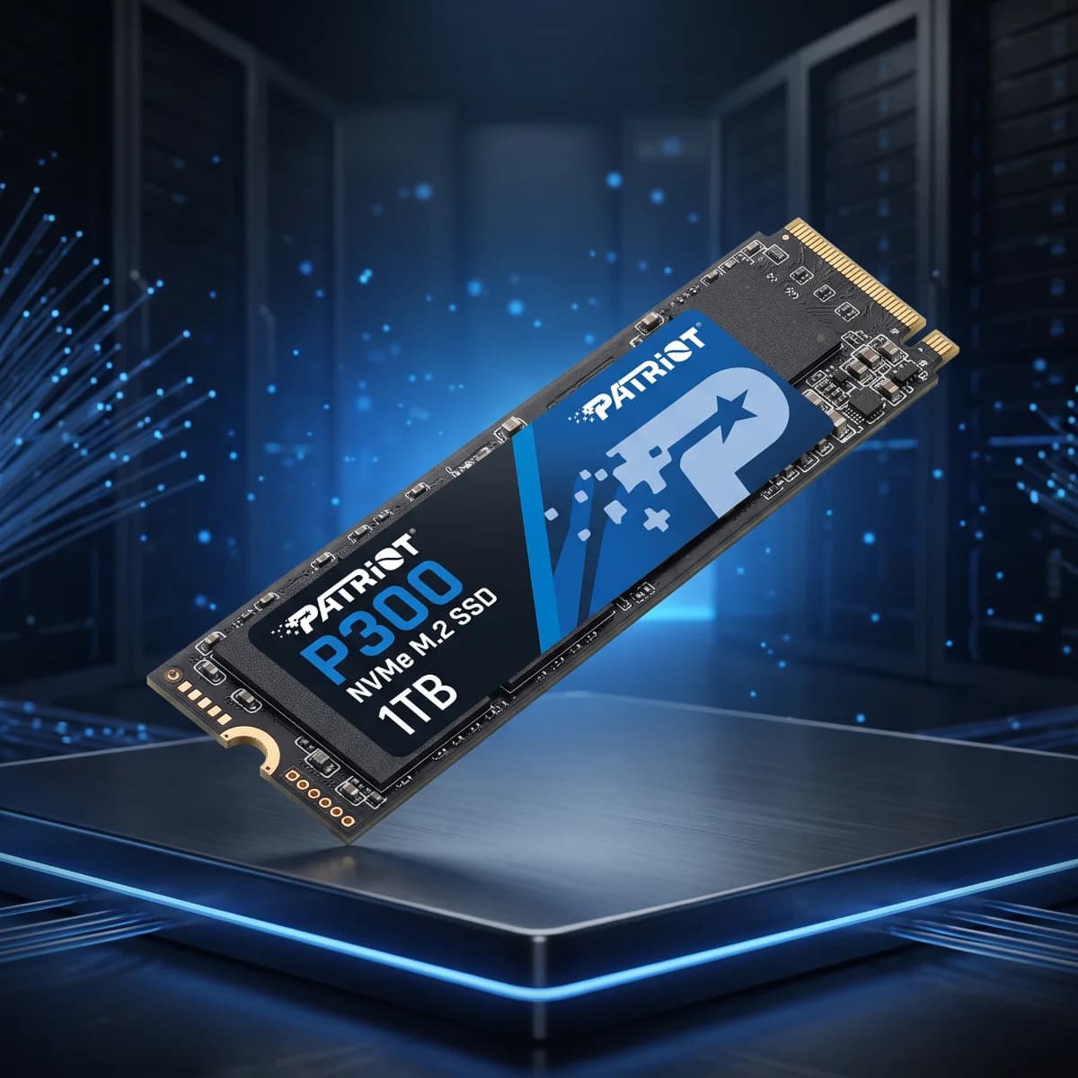 SSD Patriot P300 1TB M.2 2280 NVMe PCIe Gen3